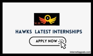Hawks Internships 2024: Kickstart Your Law Enforcement Career in South Africa